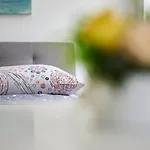 米西奇客房公寓 *