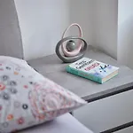 Apartmán And Misic
