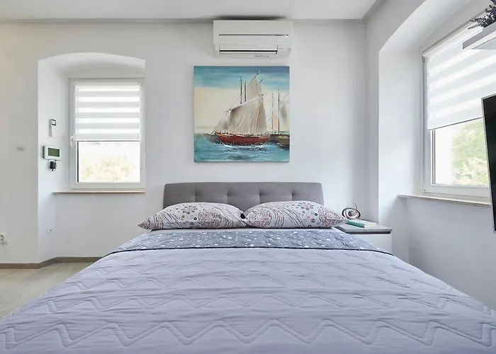 米西奇客房公寓 *