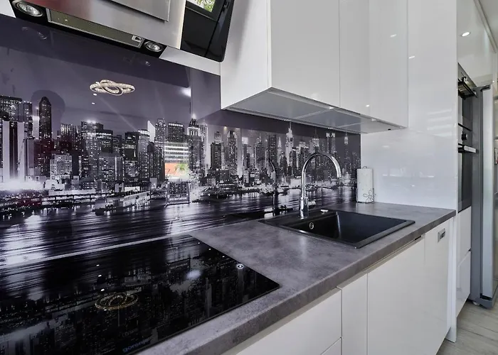 米西奇客房公寓 *