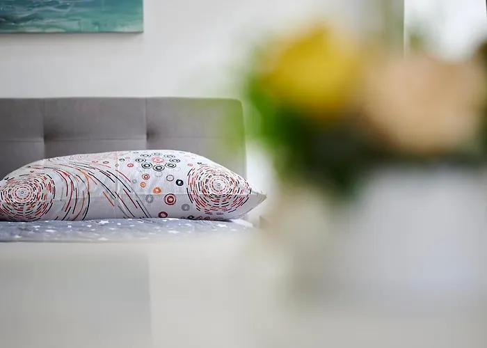 米西奇客房公寓 *